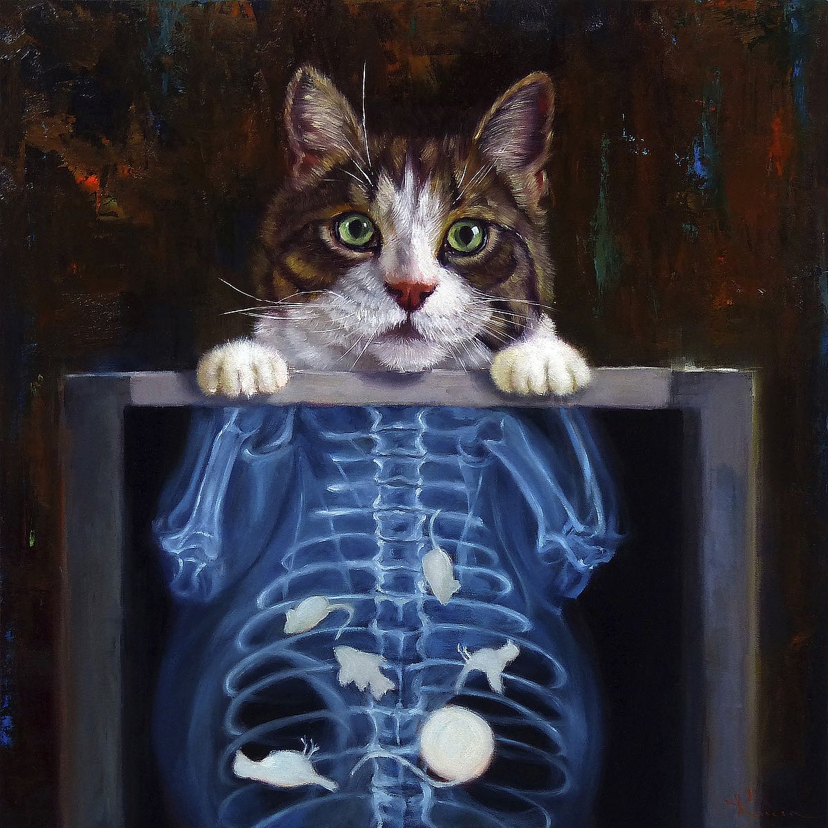 Cat Scan